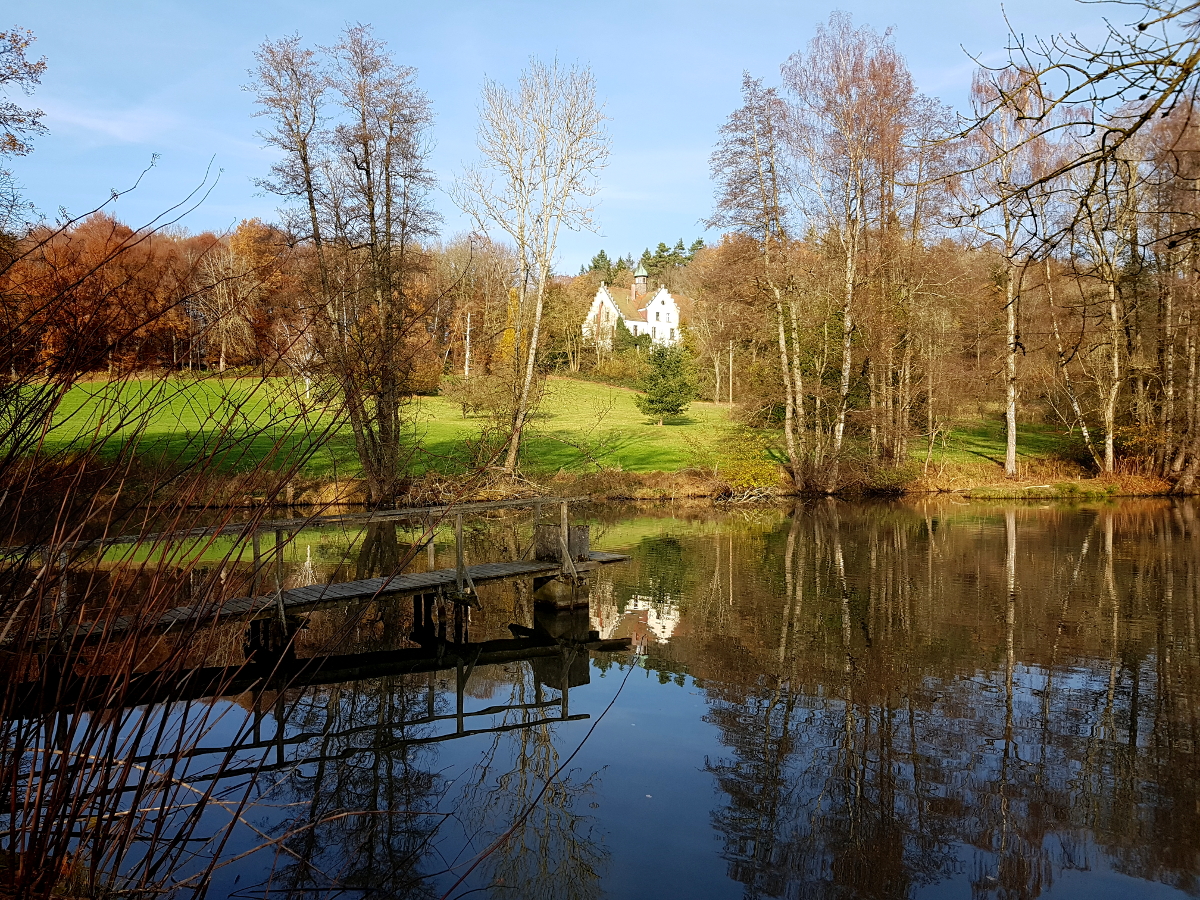 Einer von mehreren Teichen Einer von mehreren Teichen