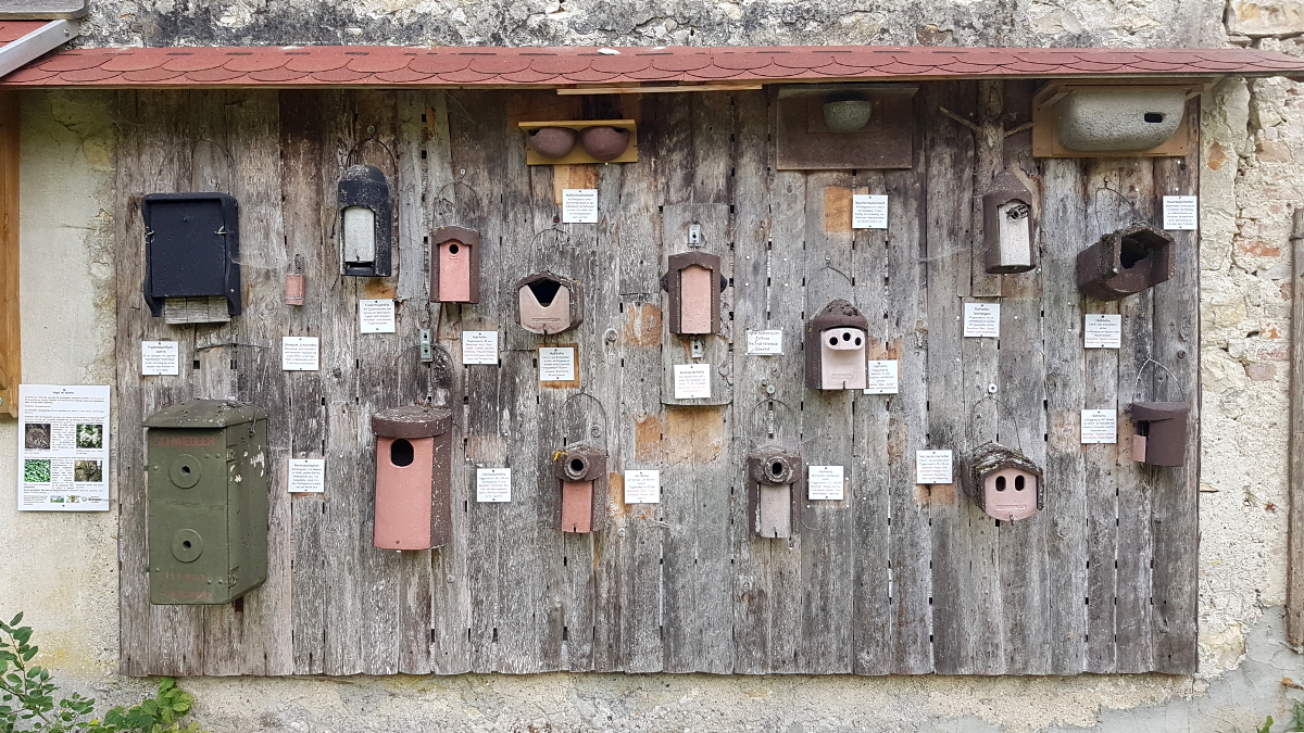 Nistkästen werden vorgestellt Nistkästen werden vorgestellt