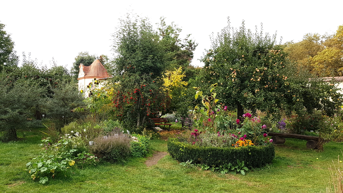 Durchblick zu den Klostergebäuden Durchblick zu den Klostergebäuden