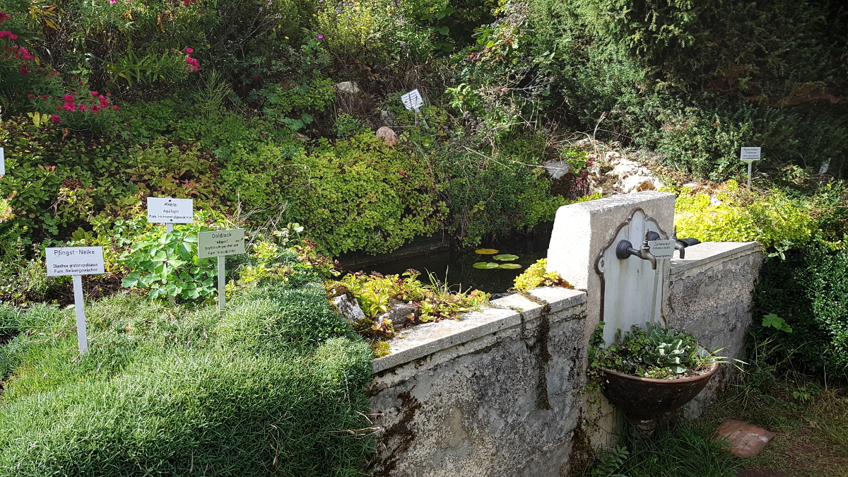 Wasser macht sich immer gut Wasser macht sich immer gut