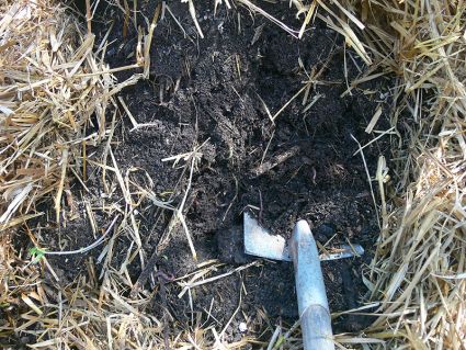 Biogarten Biogemüse Bio-Kräuter Mulchgarten Biogarten Biogemüse Bio-Kräuter Mulchgarten