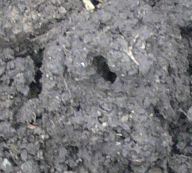 Biogarten Biogemüse Mulchgarten Winter Arbeiten Regenwürmer Biogarten Biogemüse Mulchgarten Winter Arbeiten Regenwürmer