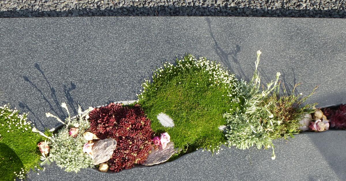 Stauden für die Grabgestaltung