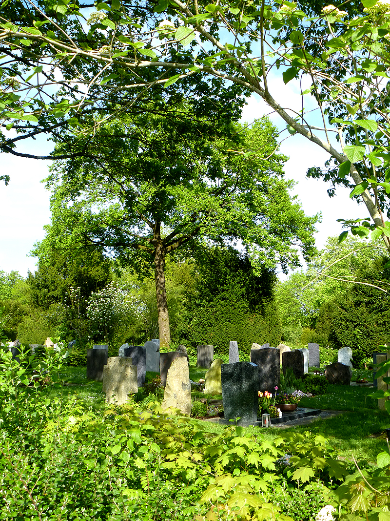 Schattige Grabstätten bepflanzen